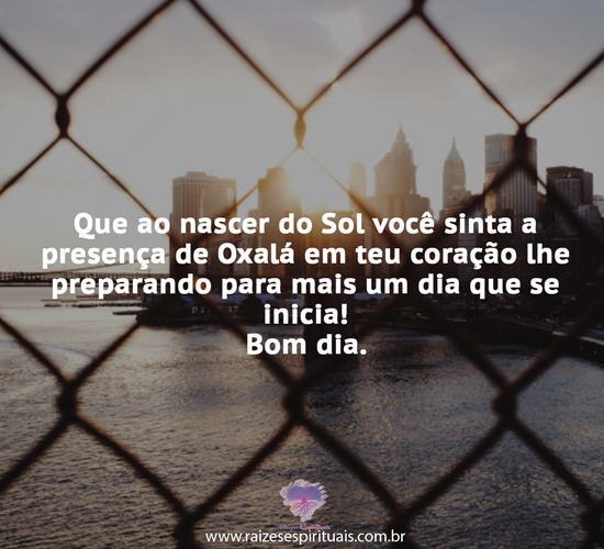 bomdia2904
