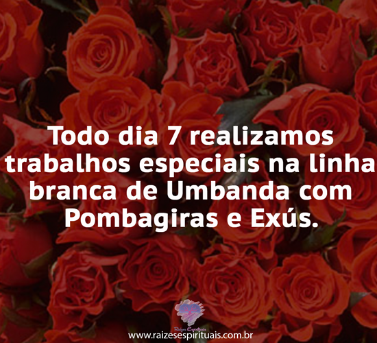 dia7