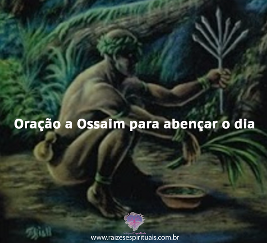 ossaim1404