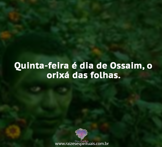ossaim2104