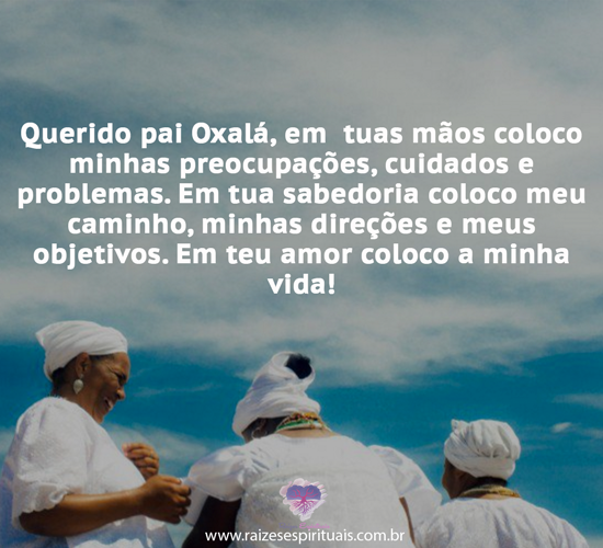 oxa2904