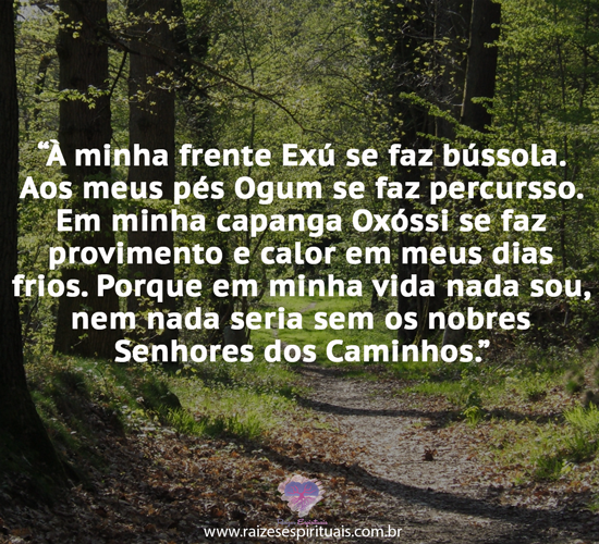 quinta2104