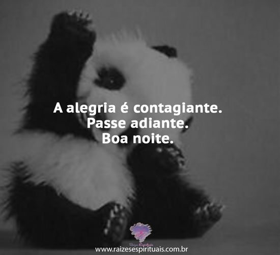 boanoite0406