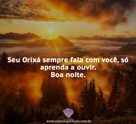 boanoite0605