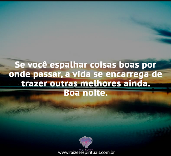 boanoite2305