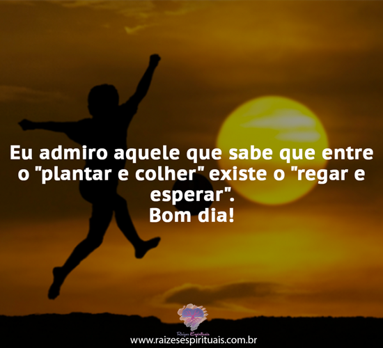 bomdia0206