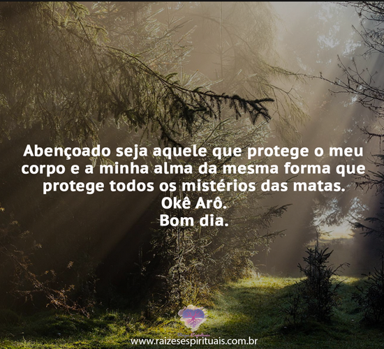 bomdia1905