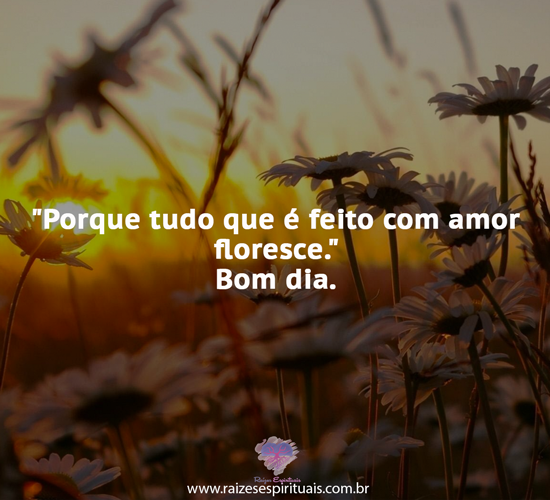 bomdia3105