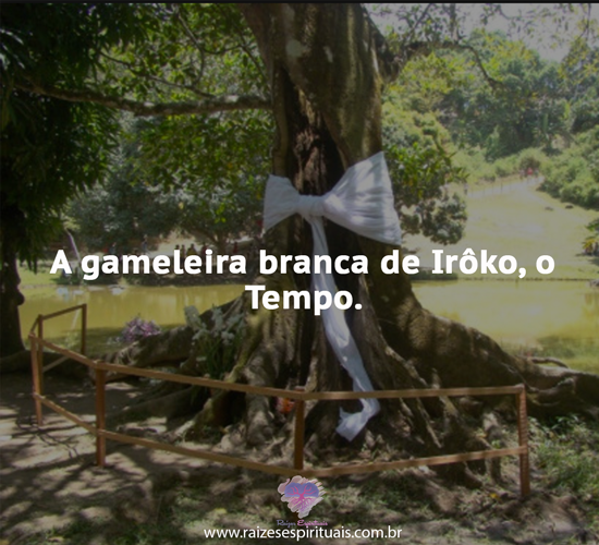 gameleira