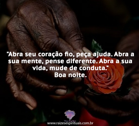 boanoite1206