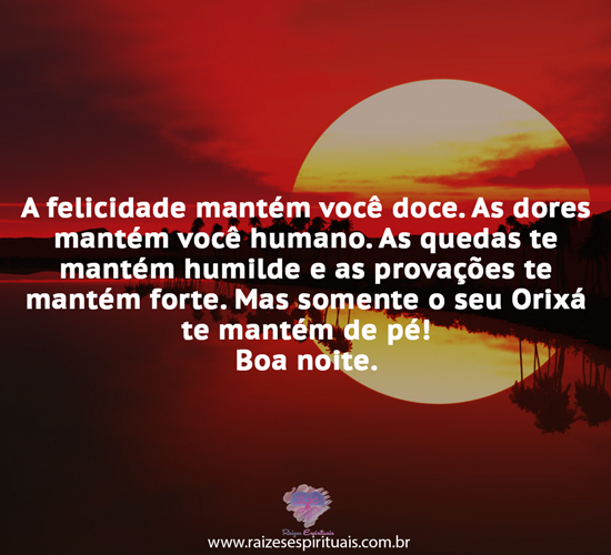 boanoite2206