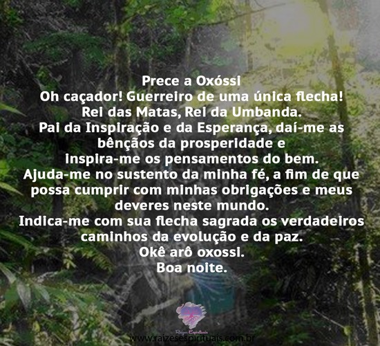 boanoite3006