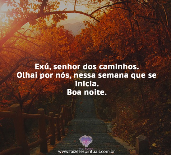 boanoite0407