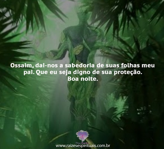 boanoite0707