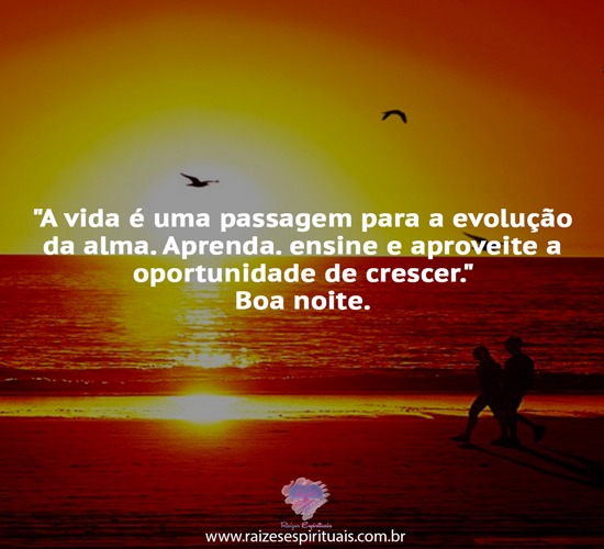 boanoite1208