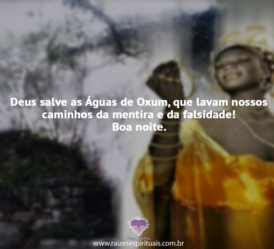 boanoite2008