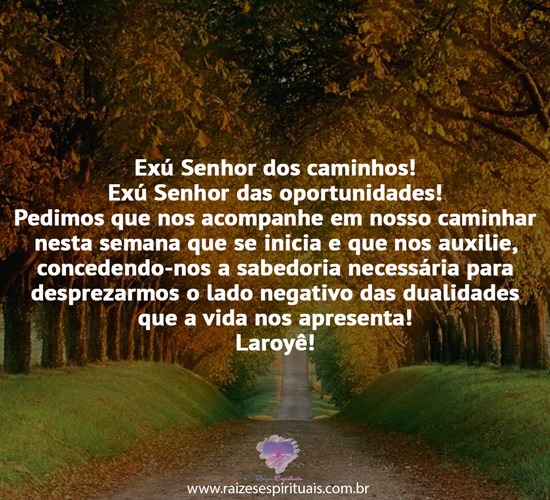 boanoite0509