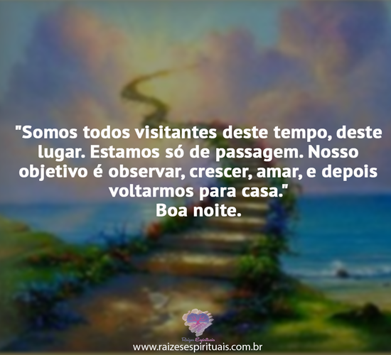 boanoite2009