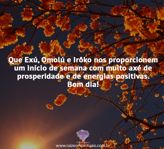 bomdia1909