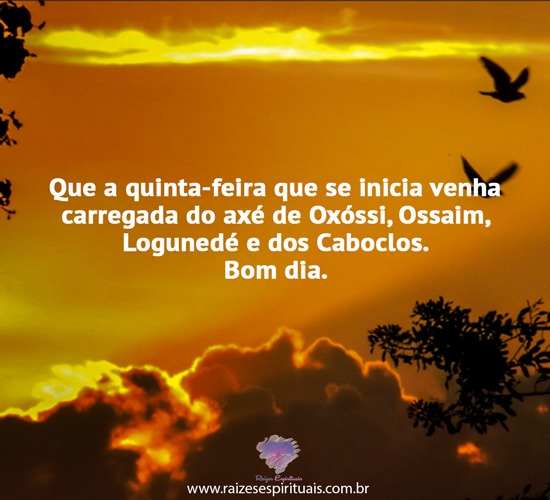 bomdia2209