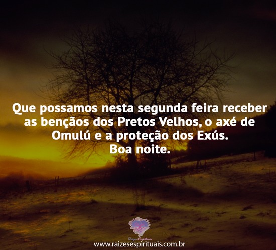 boanoite0310