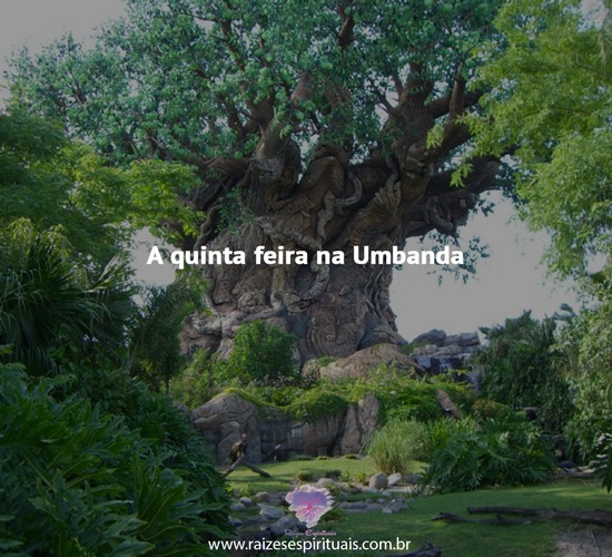 quinta