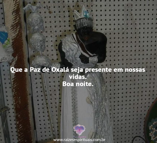 boanoite0212