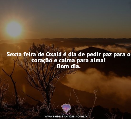 bomdia0411