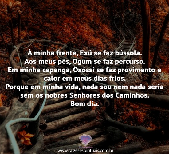 bomdia0811