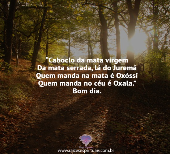 bomdia1711