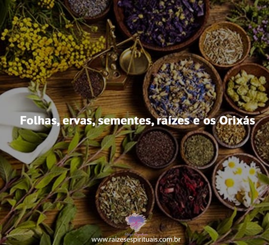 Folhas, ervas e os Orixás