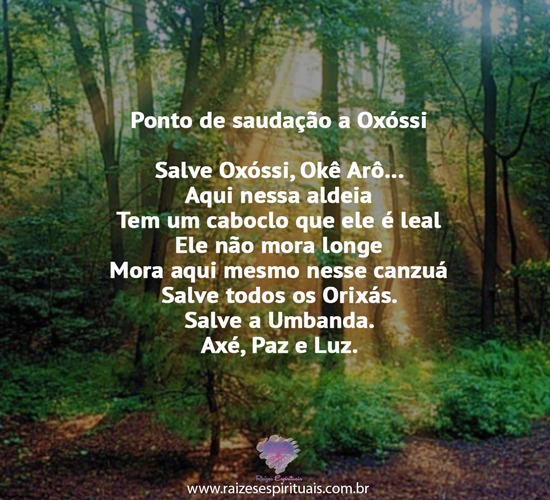 pontoox