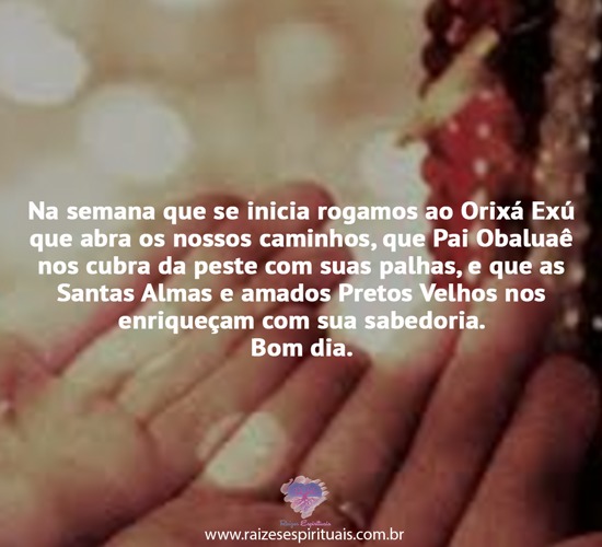 bomdia1212