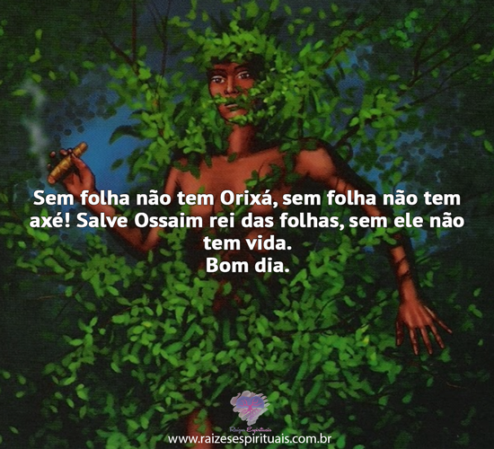 bomdia1512