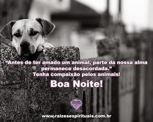 Compaixão pelos animais