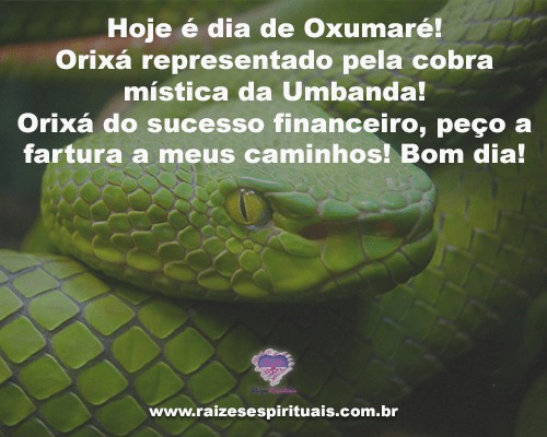 hoje-e-dia-de-oxumare