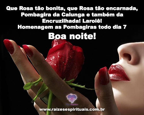 Que Rosa tão bonita
