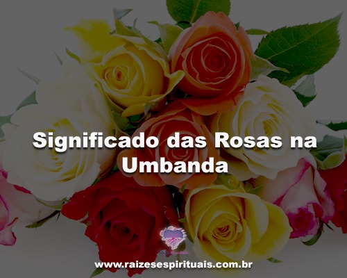 Rosas na Umbanda