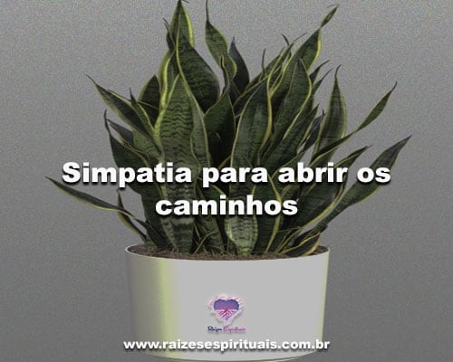 simpatia para abrir caminhos no amor e na área financeira
