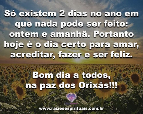 dia certo