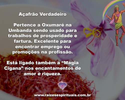 A Flor de Açafrão