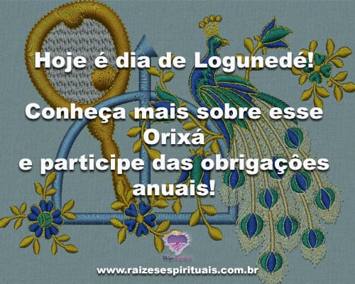 logunede-dia2