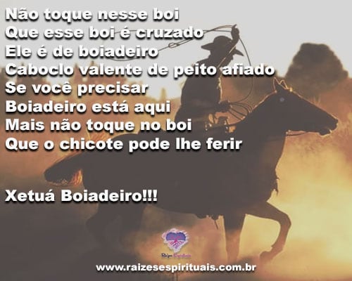 boiadeiro