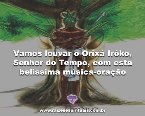 iroko