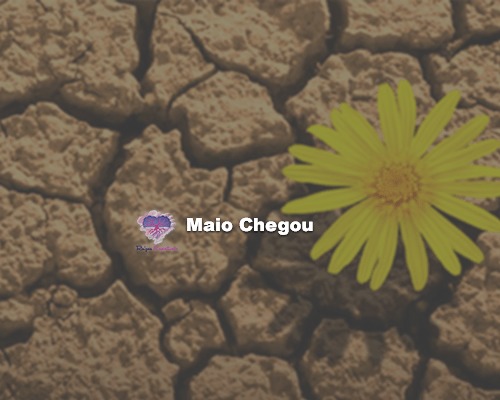 Maio Chegou