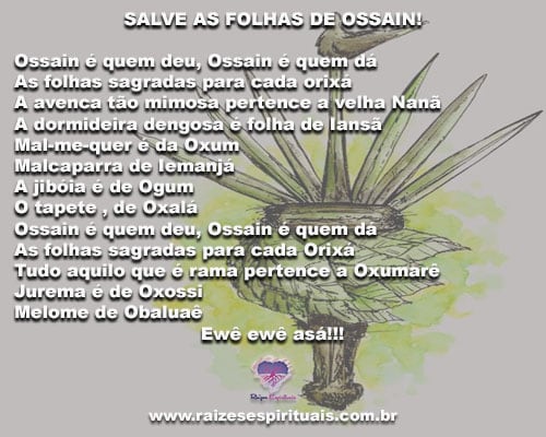 ossain-folhas