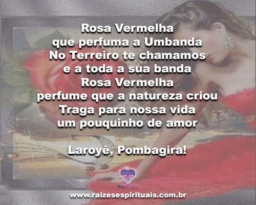 rosa vermelha2