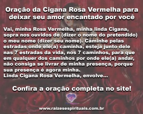 rosa vermelha