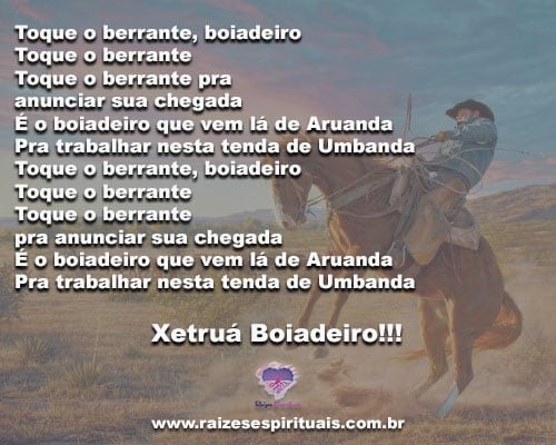 boiadeiro