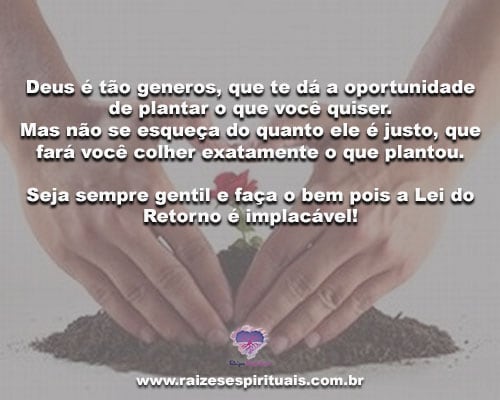 lei do retorno